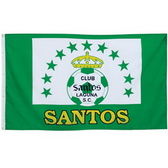 75D polyester fabric is usually used in making printed flags