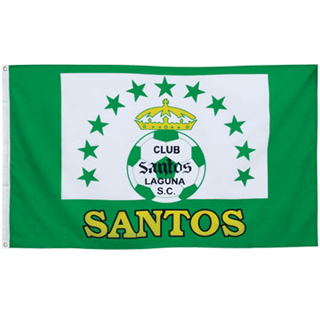 75D polyester fabric is usually used in making printed flags