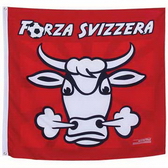 75D polyester fabric is usually used in making printed flags