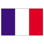 French Guiana Flags      High-Quality 1-ply Car Window Flag With Clip Attachment