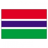 Gambia Flags      High-Quality 1-ply Car Window Flag With Clip Attachment