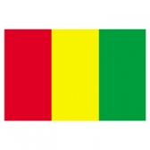 Guinea Flags      High-Quality 1-ply Car Window Flag With Clip Attachment