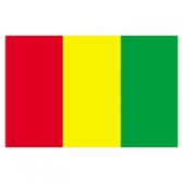 Guinea Flags      High-Quality 1-ply Car Window Flag With Clip Attachment