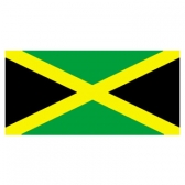 Jamaica Flags      High-Quality 1-ply Car Window Flag With Clip Attachment