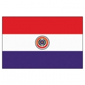 Paraguay  Flags      High-Quality 1-ply Car Window Flag With Clip Attachment