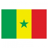 Senegal Flags      High-Quality 1-ply Car Window Flag With Clip Attachment