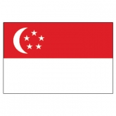 Singapore Flags      High-Quality 1-ply Car Window Flag With Clip Attachment