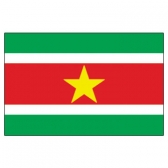Surinam  Flags      High-Quality 1-ply Car Window Flag With Clip Attachment