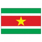 Surinam  Flags      High-Quality 1-ply Car Window Flag With Clip Attachment