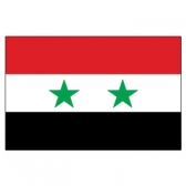 Syria  Flags      High-Quality 1-ply Car Window Flag With Clip Attachment