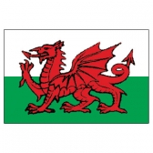 Wales Islands(U.S.A) Flags      High-Quality 1-ply Car Window Flag With Clip Attachment