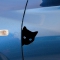 Cat Face Peering Car Sticker Motorcycle Decorative Stickers 